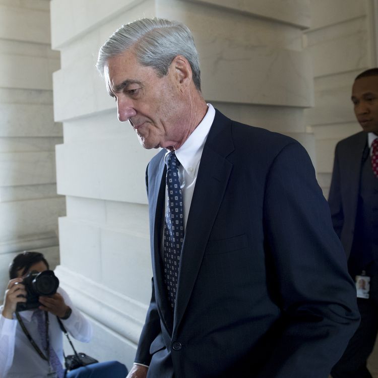 cover art for Waiting for Mueller