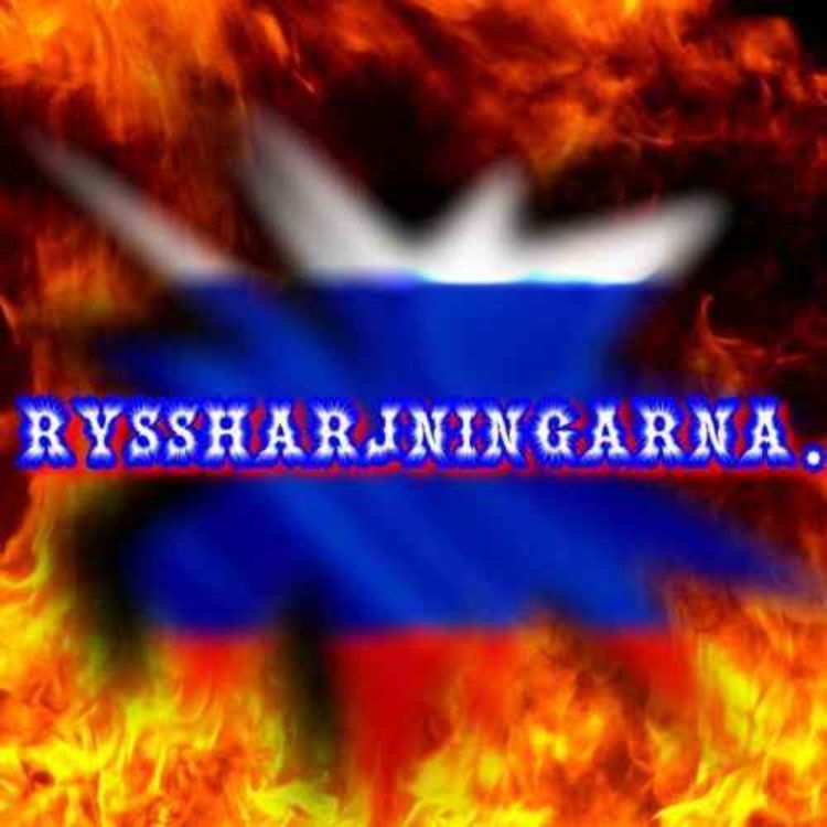 cover art for Rysshärjningarna.