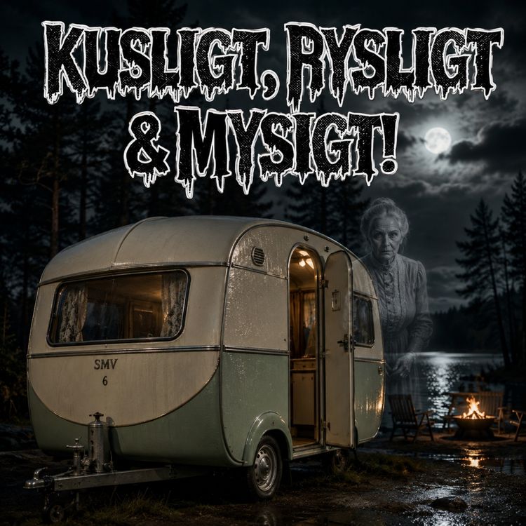 cover art for DEN ELAKA DAMEN I HUSVAGNEN! lyssnarberättelse!