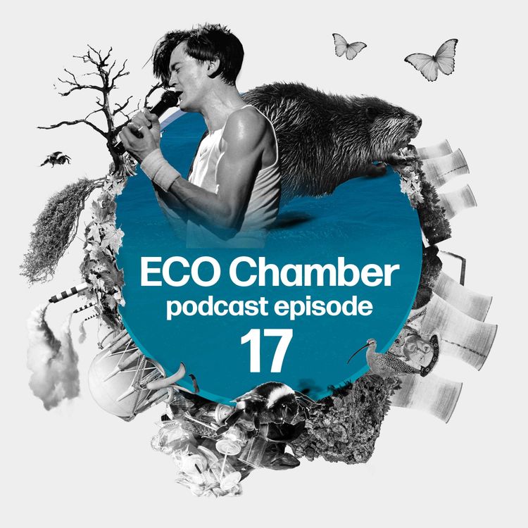 cover art for Feargal's fury, beaver fever and heatwave hellscapes