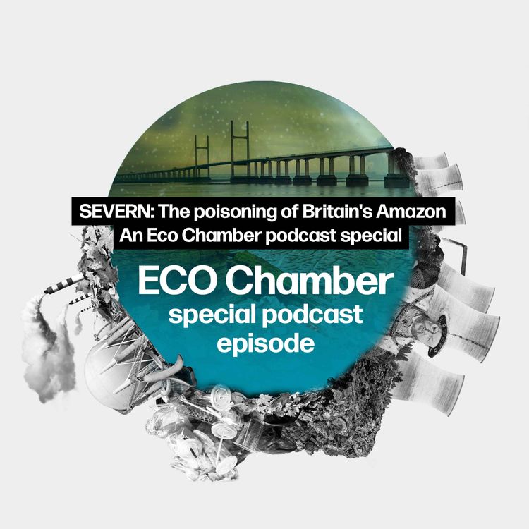 cover art for SEVERN: The poisoning of Britain's Amazon