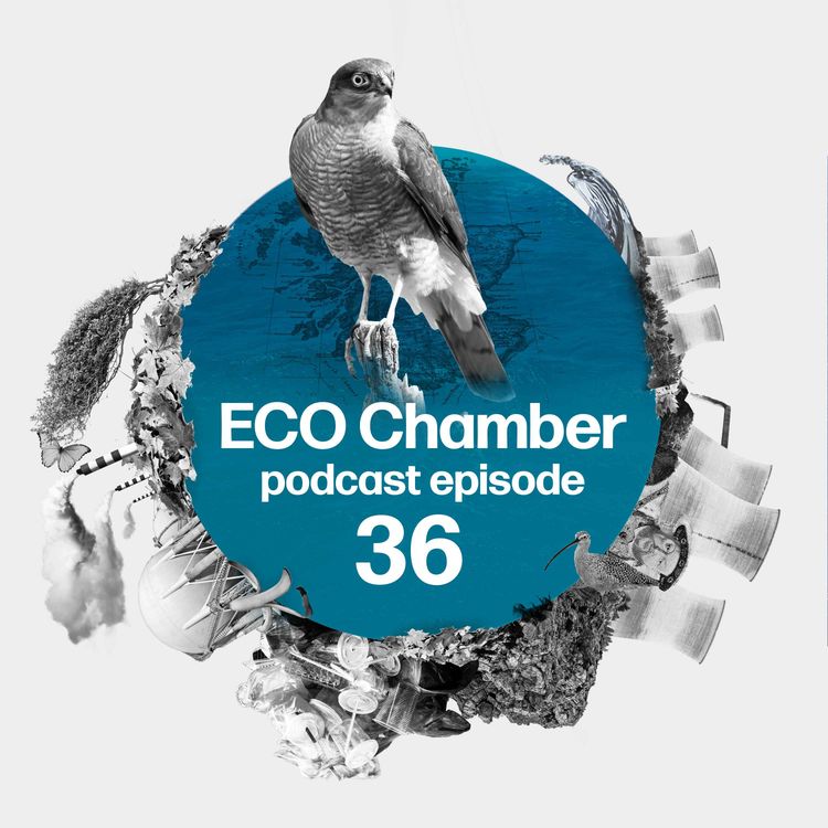 cover art for REUL Bill retreat, sparrowhawk down and sewage woes