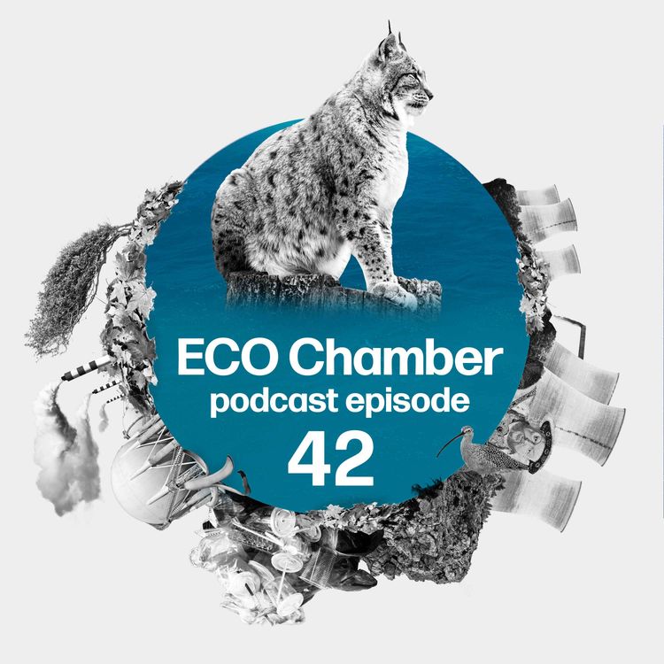 cover art for Agencies ignored, Oxford’s glory, and Rewilding Britain's Alastair Driver on tackling rewilding myths