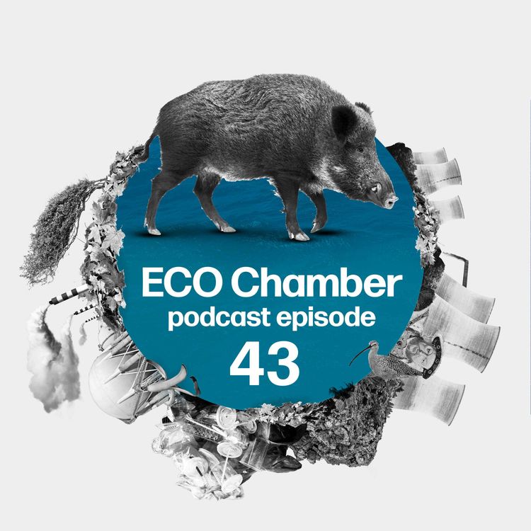 cover art for REUL bill battles, Green cities and wild boar livers