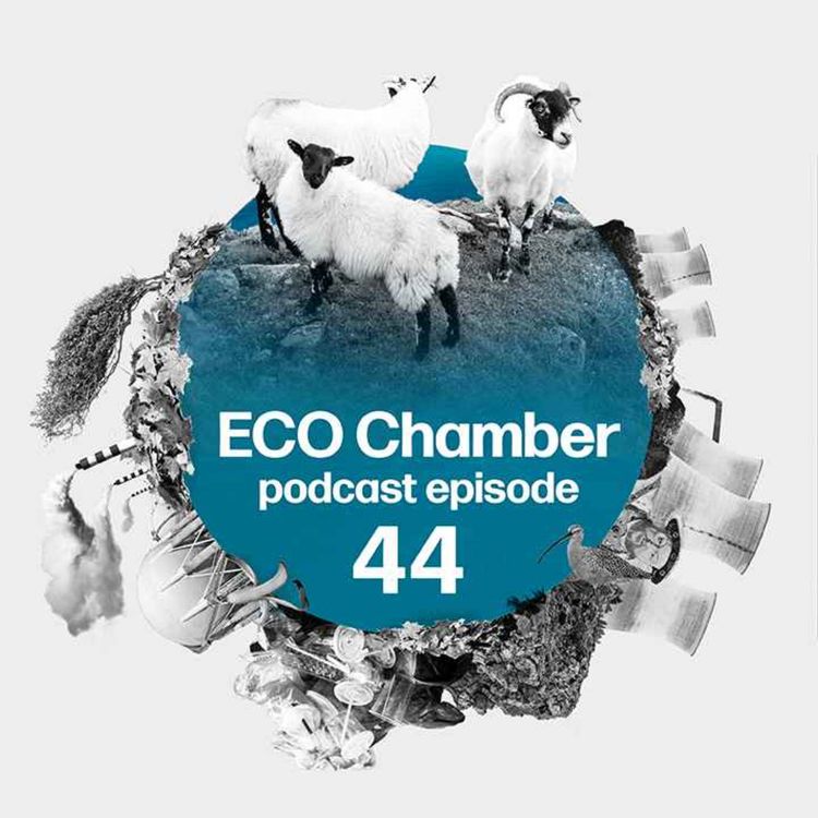 cover art for Health and safety gone bad, sheep scraped Dartmoor and the man who blew the lid off the sewage scandal