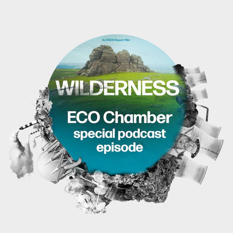 cover art for WILDERNESS: The Wounding of England's Last Great Wild Spaces