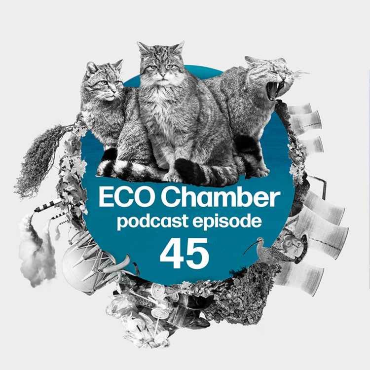 cover art for ‘Highland tigers’ and ‘devastating’ pollution, PLUS interview with Uplift’s Tessa Khan