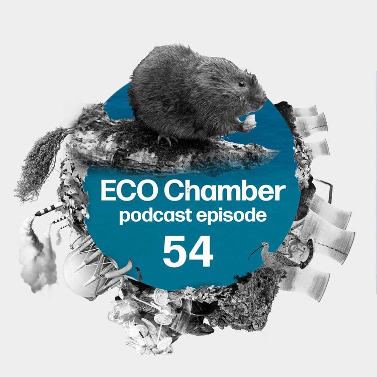 cover art for Pollution penalty shootout, water voles let loose, PLUS international climate broker on finding consensus