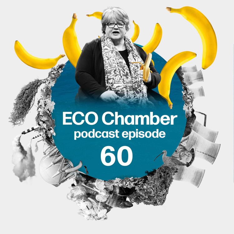 cover art for Tories go bananas, net gain knock-back, and Scotland’s push to liquify the dead