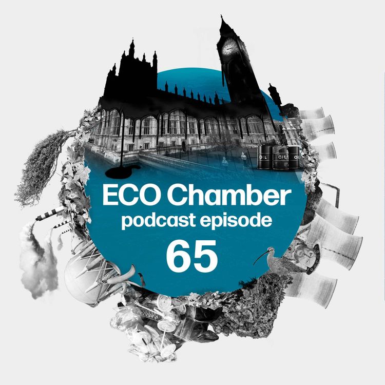 cover art for Water framework fracas, the silent King's speech, and the Environment Act, two years on