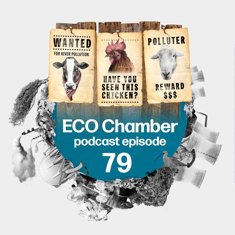 cover art for Minette batters the regulators, EA chair‘s ‘uncomfortable’ PowerPoint slides PLUS pollution penalty perils