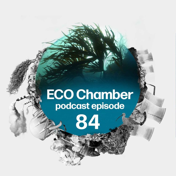 cover art for  Thames Water turmoil, Ofwat has it large PLUS the kelp forests of Sussex 