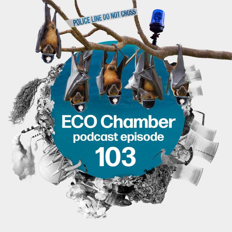 cover art for The bat police, the EA’s pension pot problem, and Miliband’s solar ‘error’