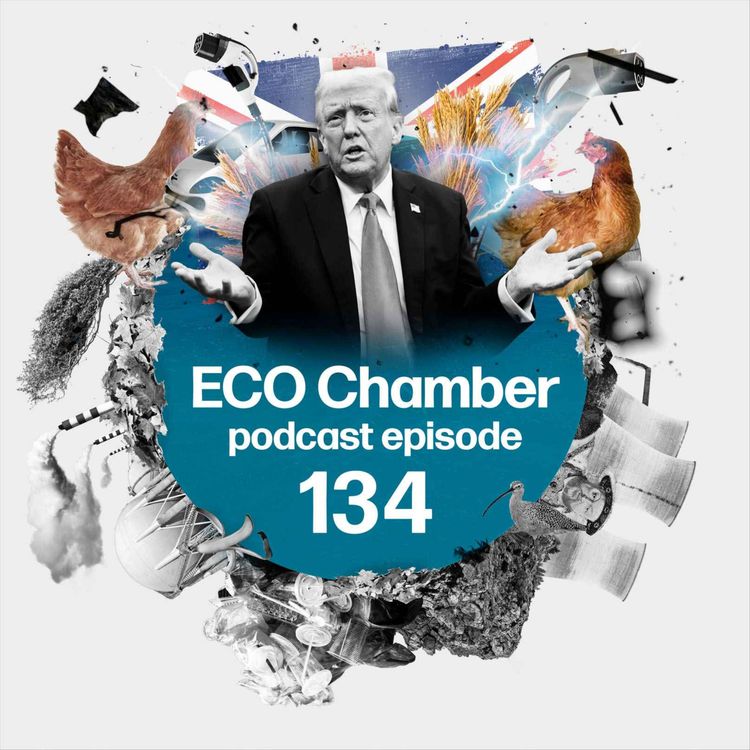 cover art for Trump tariff turbulence meets UK net zero