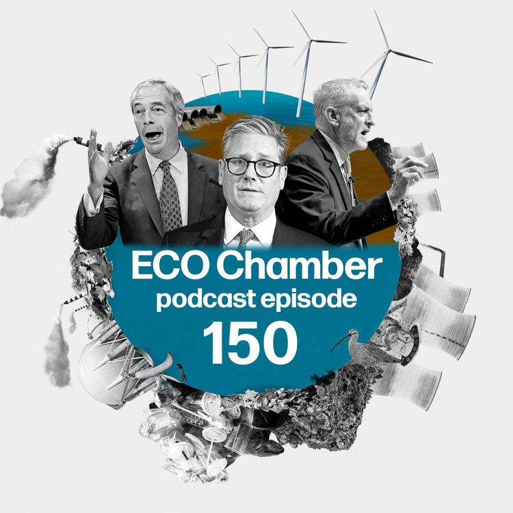 cover art for Summer of green discontent? Reform UK councils make net zero moves, Corbyn stakes eco claims