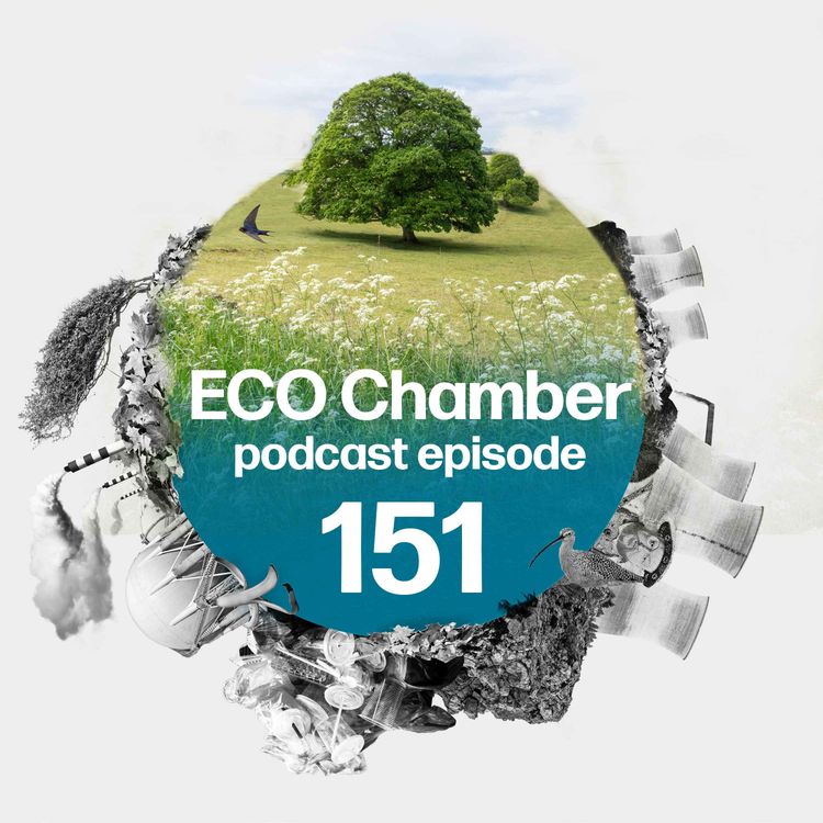 cover art for Watchdog barks as biodiversity net gain foundations shake