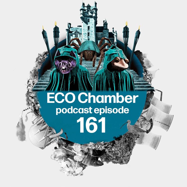 cover art for Uncloaked: Labour targets planning ‘traitors’ as Reform rages at solar