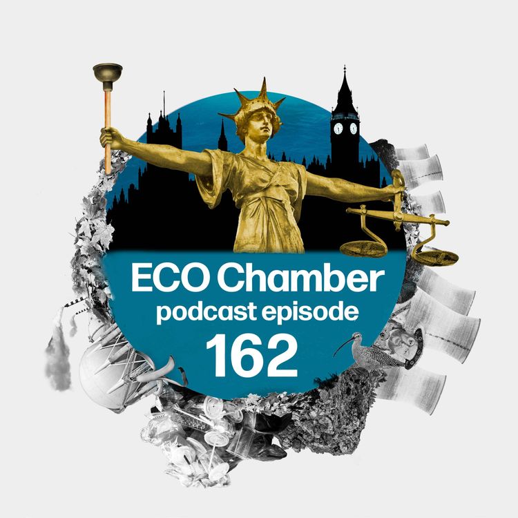 cover art for Nutrient neutrality gets legal 'Dyno-Rod' as Planning Bill looms