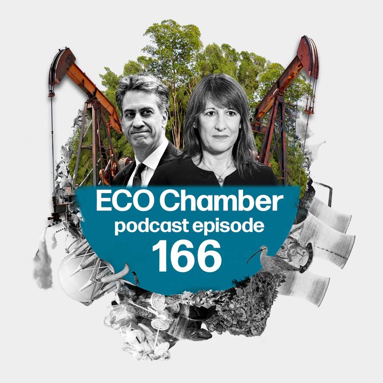 cover art for COP, out: Climate summit key takeaways as UK budget looms