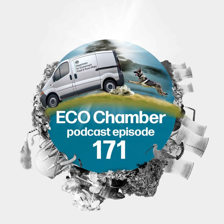 cover art for ‘Nature law breaker?’: Green watchdog issues warning on key wildlife target