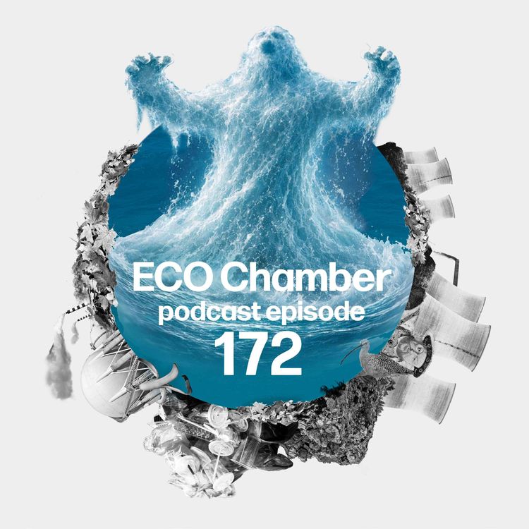 cover art for Super Regulator: water white paper sets sights on watchdogs