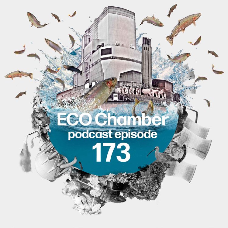 cover art for Fingleton Review: NGOs rail against controversial nuclear report 'inaccuracies'