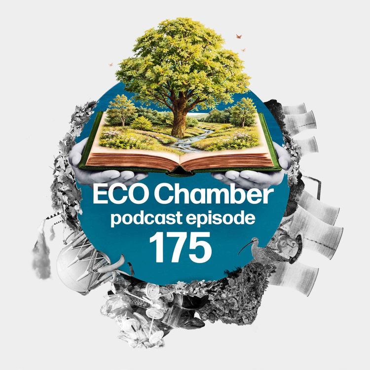 cover art for Watchdog green light as Treasury updates Green Book