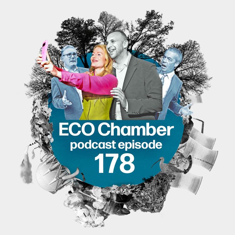 cover art for Green Party gains in Manchester – but did the environment get a look in? 