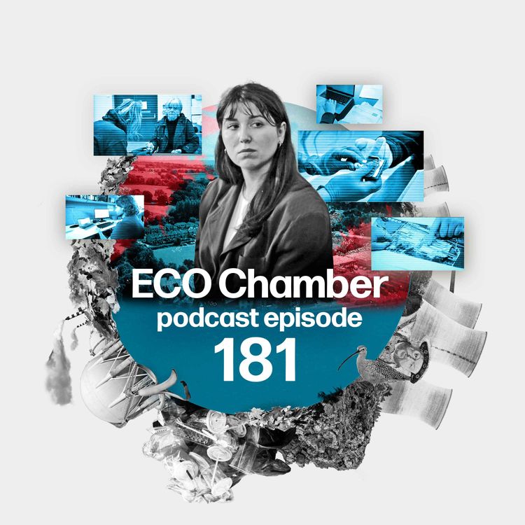 cover art for In Our Blood: Lifting the lid on Britain's forever chemical scandal