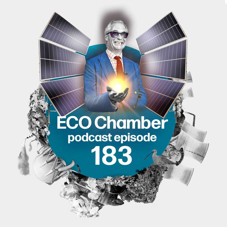 cover art for Aftersun: Reform UK casts long shadow over solar boom