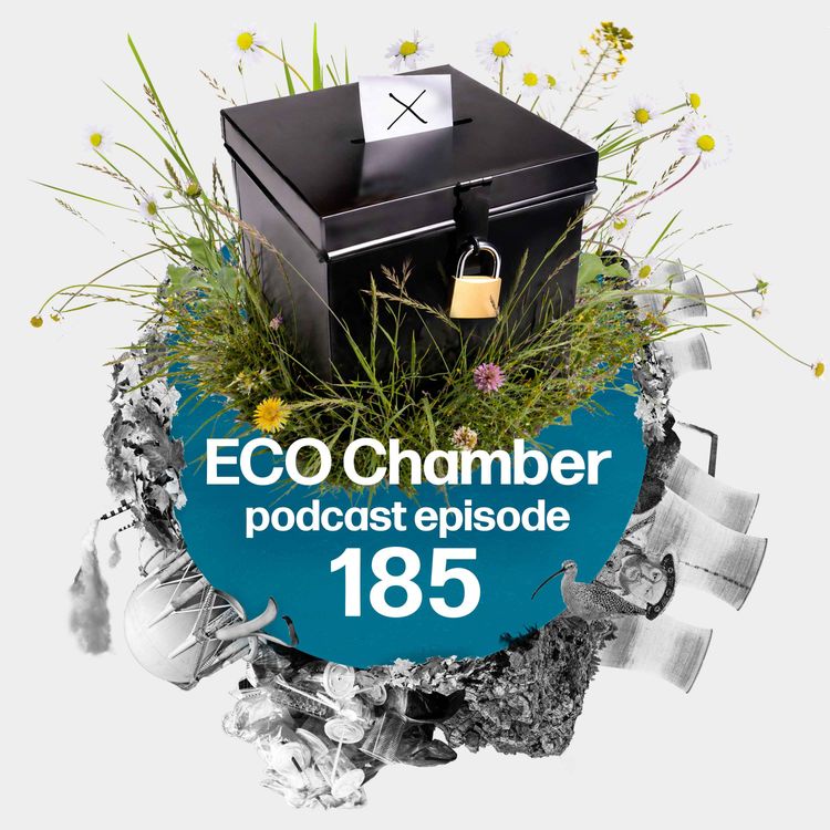 cover art for Election preview: where the environmental battles will be won and lost