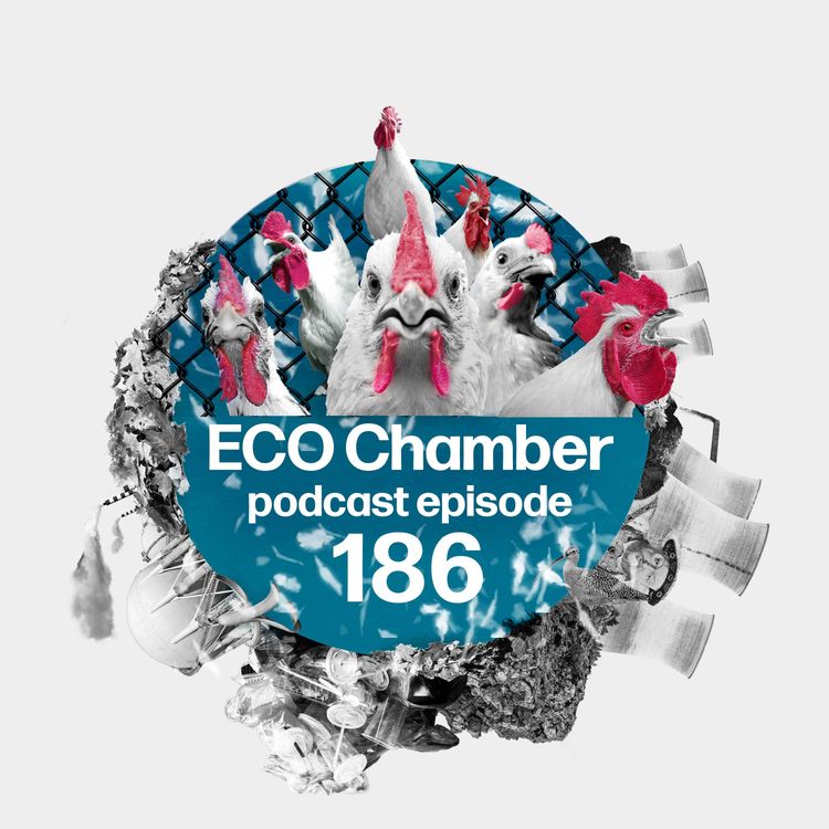 cover art for Chicken run? UK's 'biggest ever eco-lawsuit' and Natural England’s SSSI retreat