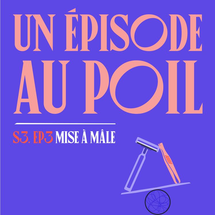 cover art for S03E03 - Un épisode au Poil