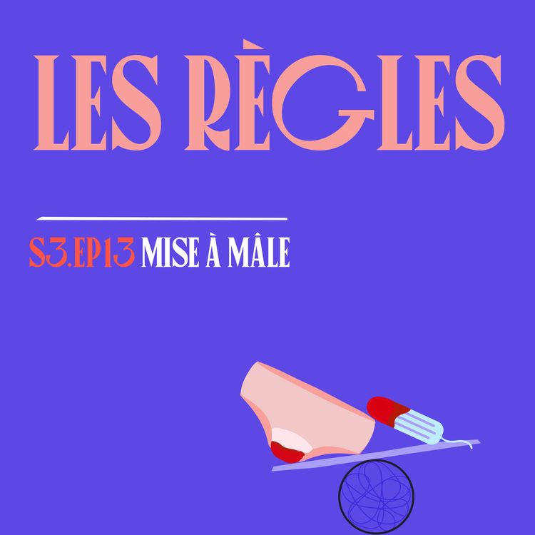 cover art for S03E13 - Les règles