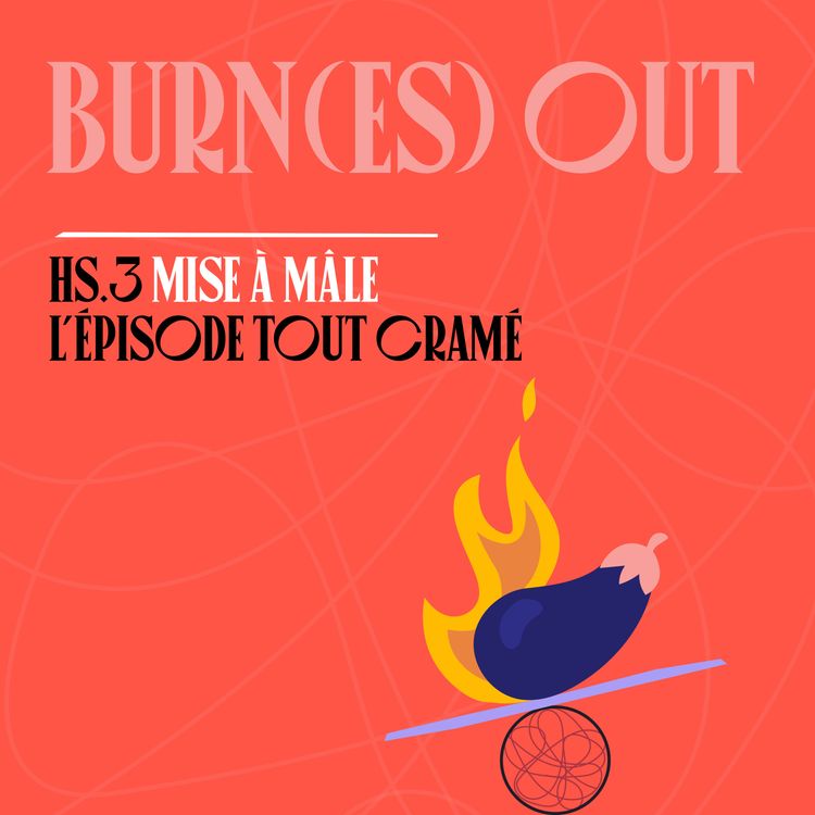 cover art for HS3 - Burn(es) out