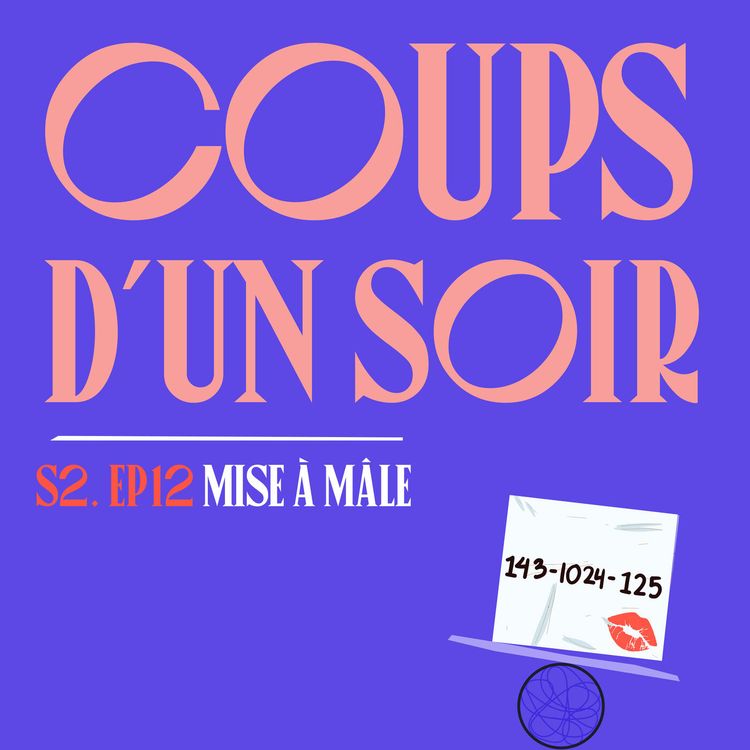 cover art for S02E12 - Coups d'un soir