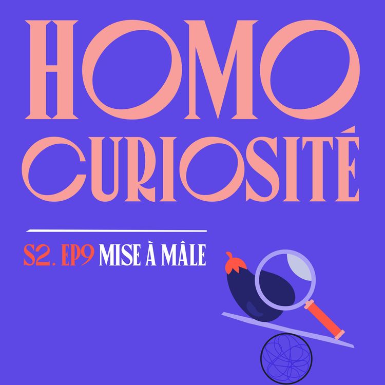 cover art for S02E09 - Homocuriosité