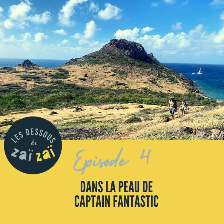 cover art for Dans la peau de Captain Fantastic