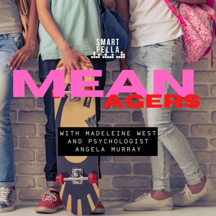 cover art for Why Are Meanagers So Mean?