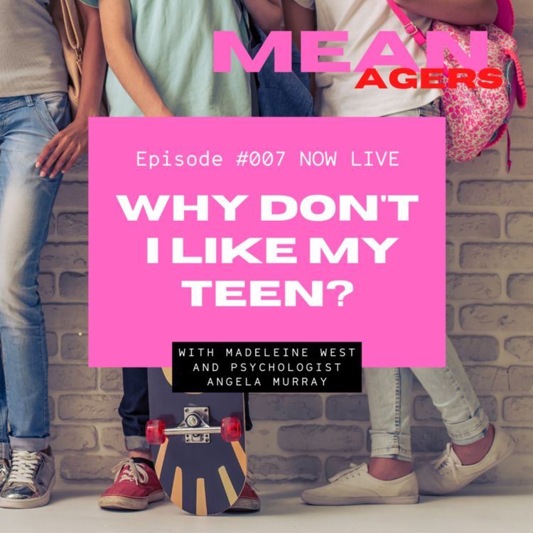 cover art for Why Don't I Like My Teen?