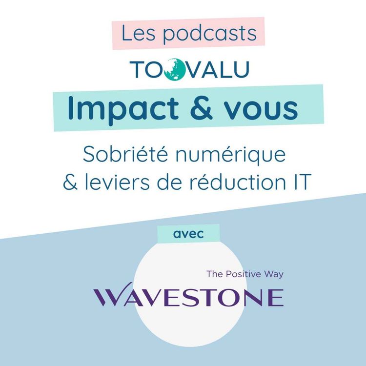 cover art for Sobriété numérique et leviers de réduction IT avec Wavestone