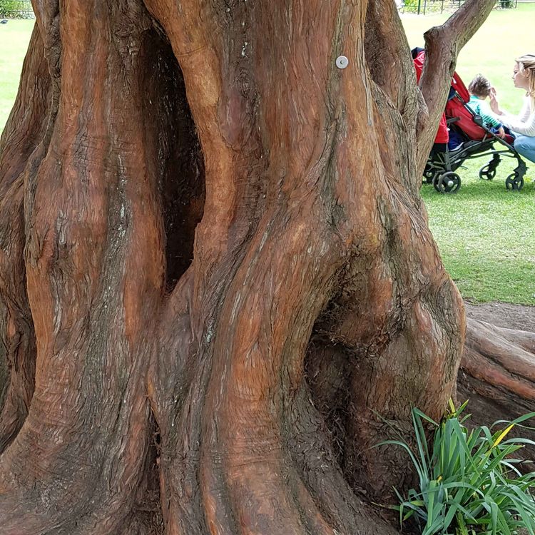 cover art for Episode 4