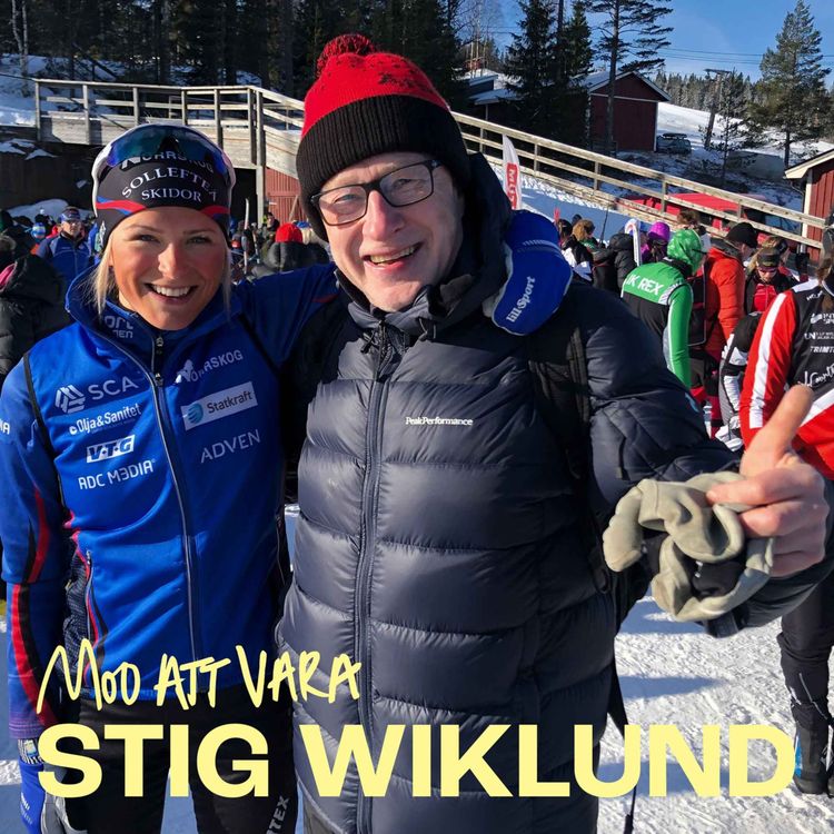 cover art for Mod att vara - Stig Wiklund