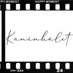 cover art for Kaninhålet
