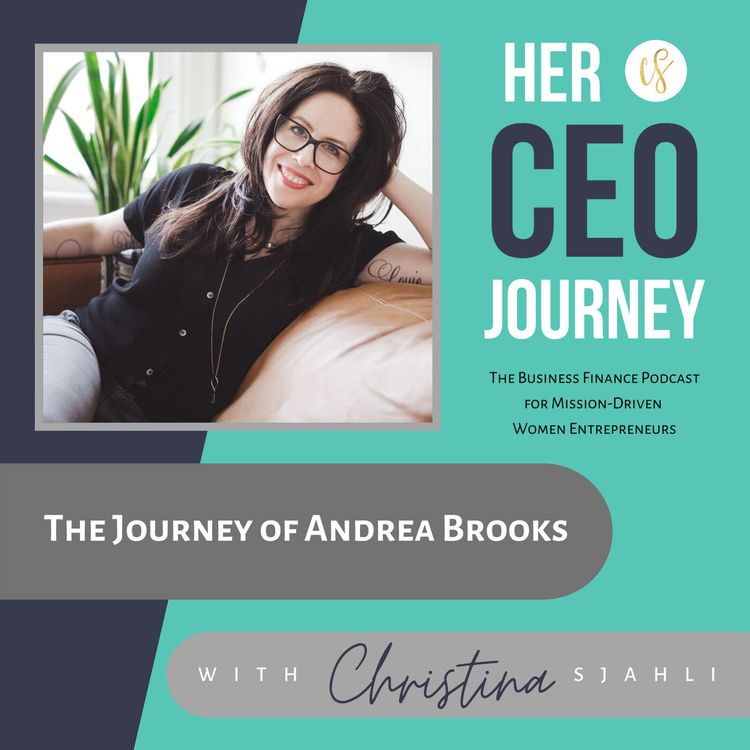 cover art for The Journey of Andrea Brooks