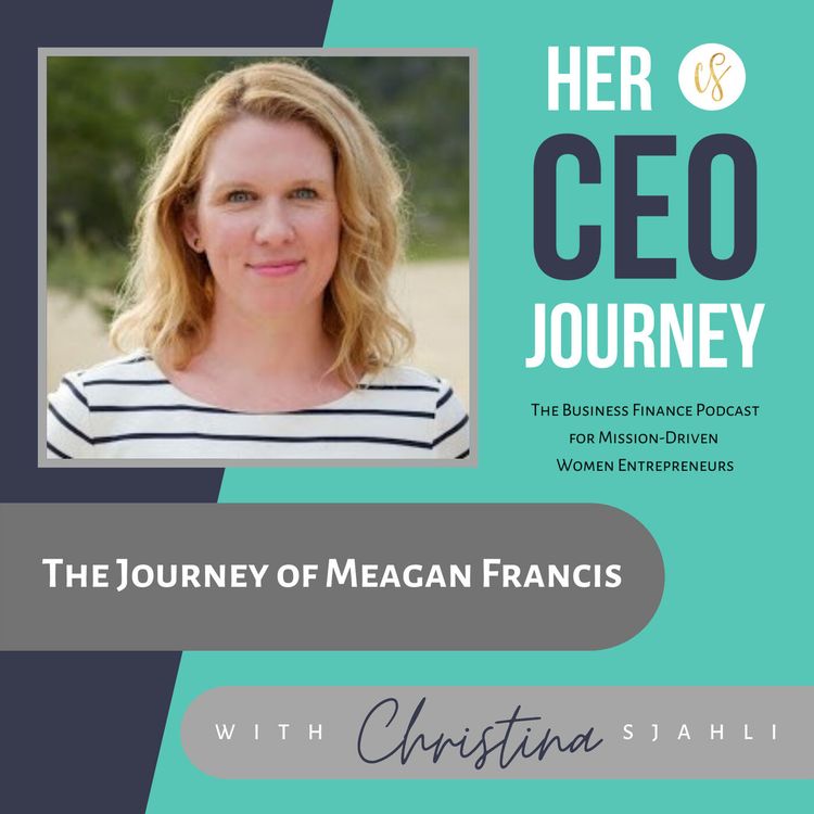 cover art for The Journey of Meagan Francis