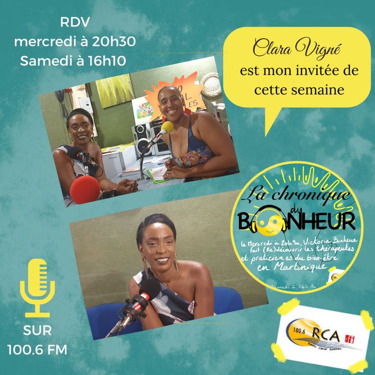 cover art for La Chronique du bonheur