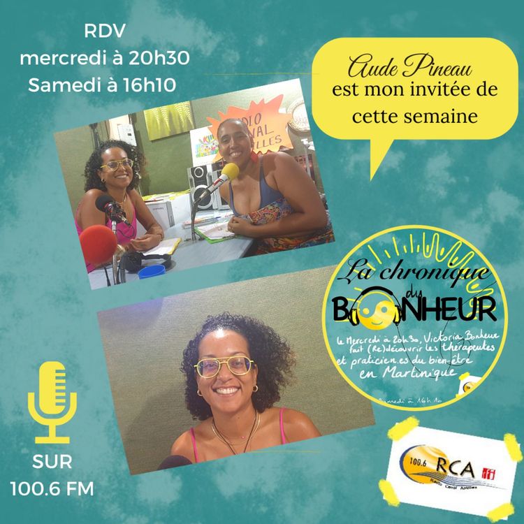 cover art for La Chronique du bonheur