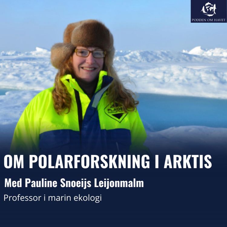 cover art for Om polarforskning i Arktis