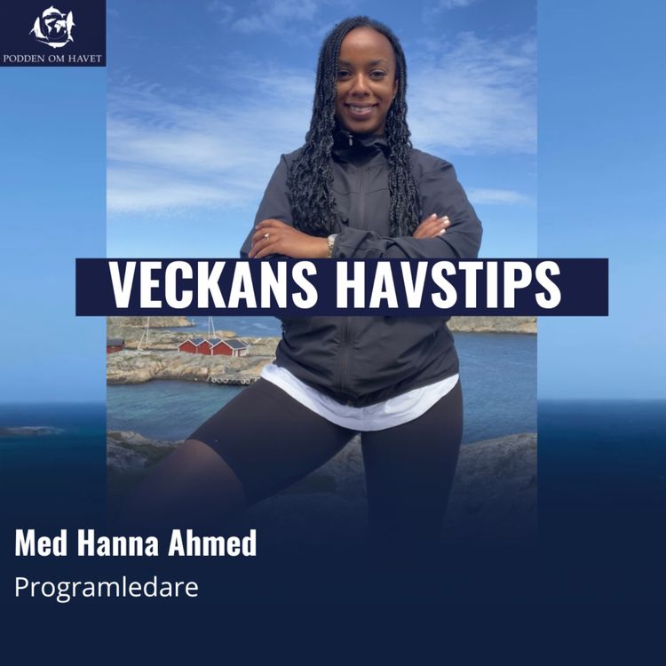 cover art for Veckans havstips - Så kan du medverka i en ny SVT dokumentär om havet